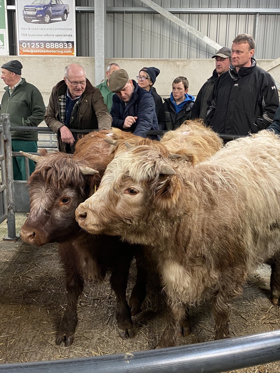 While visiting family in #shropshire. Always great to pop into the local market. And a big thumbs up to <a href="/HughesBrosAgric/">Hughes Bros. Agriculture & Groundcare Machinery</a> for making darcies day #tractor