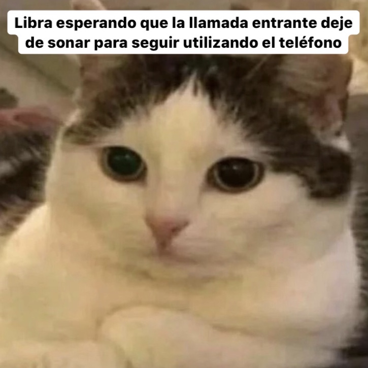 libra_hn's tweet photo. 🤣🤣🤣 #libra #horoscoponegro https://t.co/LseZLZZiND
