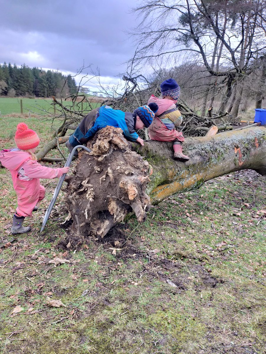 HOPHowies's tweet photo. Storm Eunice brought us a little gift. Lots of fun was had removing branches, clearing the site and exploring the fallen tree. @careinspect @playscotland @ScotChildmind @earlyyearsscot @girfec @wlelc @Thrive_Outdoors @ELCScotGov @ScotOutdoor https://t.co/aq49hpJ6Wg