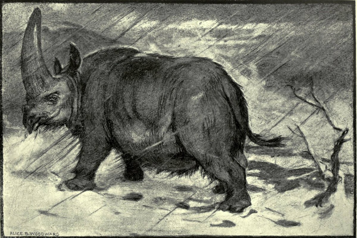 FieldMuseum's tweet image. POV: #FoolsSpring in Chicago 😑