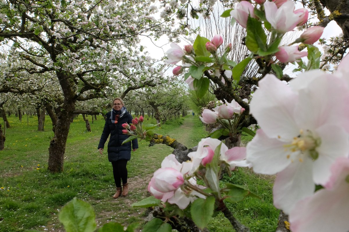 2021 was wederom een recordjaar voor de Klompenpaden. Dank aan alle vrijwilligers, grondeigenaren en overheden die dit mogelijk maken. Bijna 1,9 miljoen wandelingen, 2000 opengestelde percelen en 1400 vrijwilligers in Gld. en Utr. klompenpaden.nl/recordjaar/