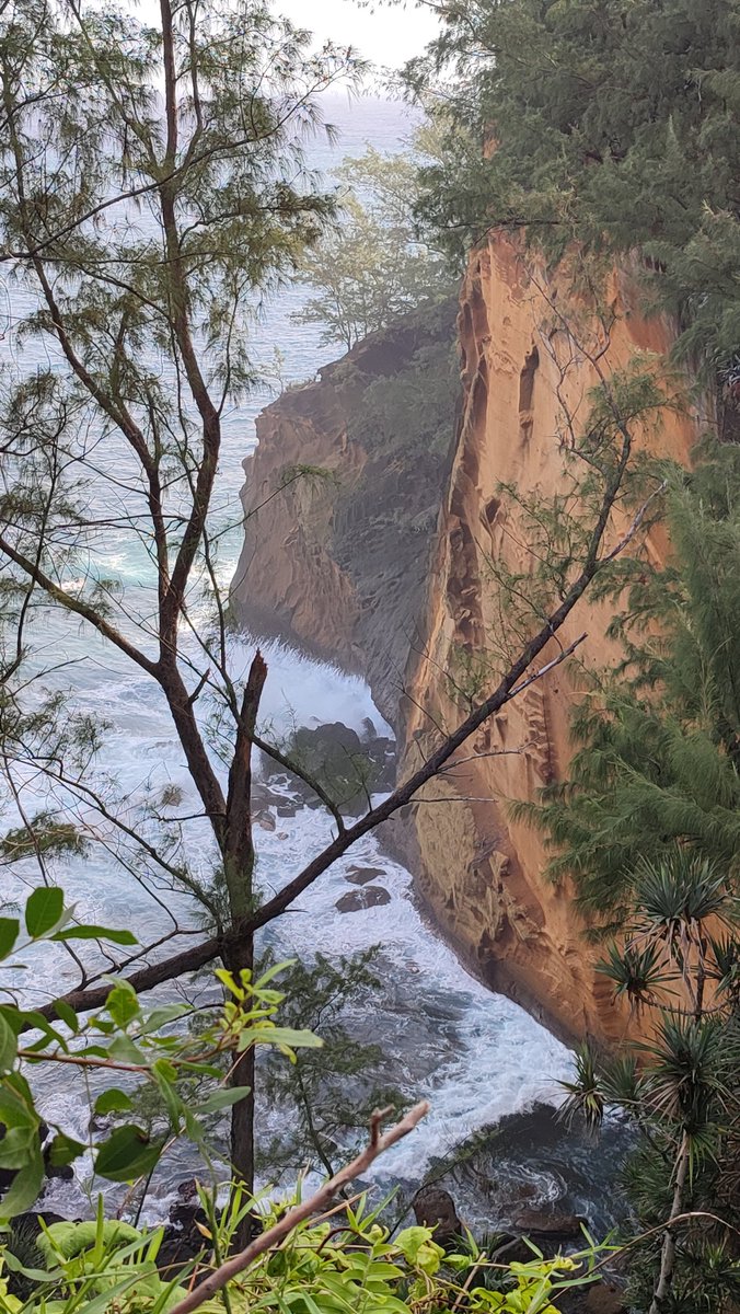 maxi80stef's tweet photo. #CapJaune à #LaReunion, ça se mérite 🌞 https://t.co/ABzeNfe38G