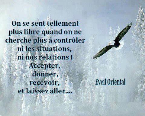 TormoJean's tweet photo. Ne cherchez plus à contrôler, laissez vous aller !   https://t.co/3DO8slwLmL https://t.co/uF2PsBOV50