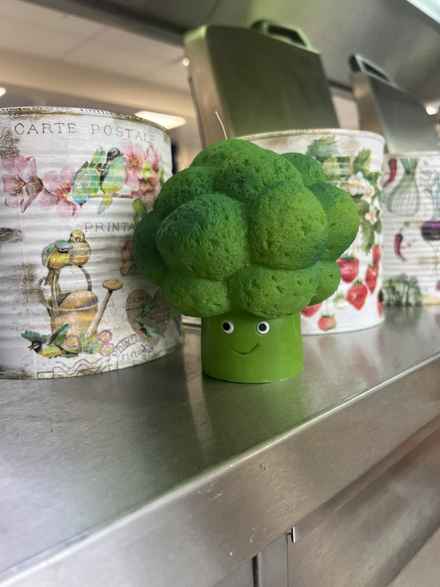 HollyJayC's tweet photo. You can tell the @VegPowerUK #eatthemtodefeatthem campaign is reviving up to start when you see a cute Brocolli dog toy and have to buy it for the kitchen!! 🙈😂 https://t.co/Tqbt0XT5kg