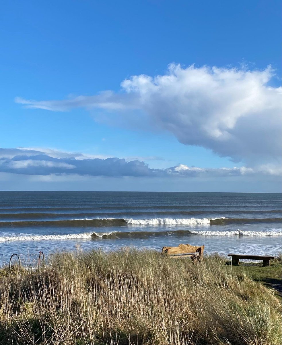 NorthsideSurf tweet media