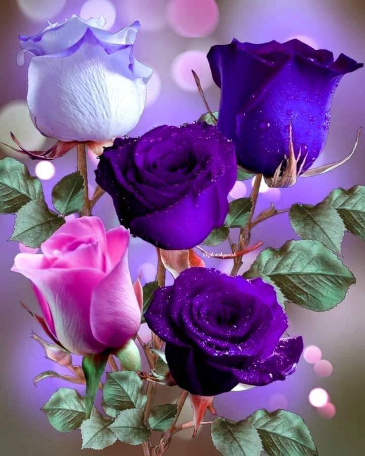 SergioA60798547's tweet photo. @r95731 @MarianLuque4 @mvf7186 @Siogo61 @SiscoMGWV @WALLI27 @swydersk @5q_zk @ranasilvia63 @oce2005 @nunespereirabr @glenton123 @ginestarros @kittymayo7101 @MarthaCandia21 @luisalarosa @Luisa1Queen @jasmine50012486 @Spencerjames211 @lumpie125 #TmSofia #TmPetal

@mvf7186
@Siogo61
@SiscoMGWV
@WALLI27
@swydersk
@5q_zk
@r95731
@SergioA60798547
@ranasilvia63
@oce2005
@nunespereirabr
@MarianLuque4
@glenton123
@ginestarros
@Kittymayo7101
@MarthaCandia21
@luisalarosa
@Luisa1Queen
@jasmine50012486
@Spencerjames211

@lumpie125 https://t.co/e5YsOJKCVu