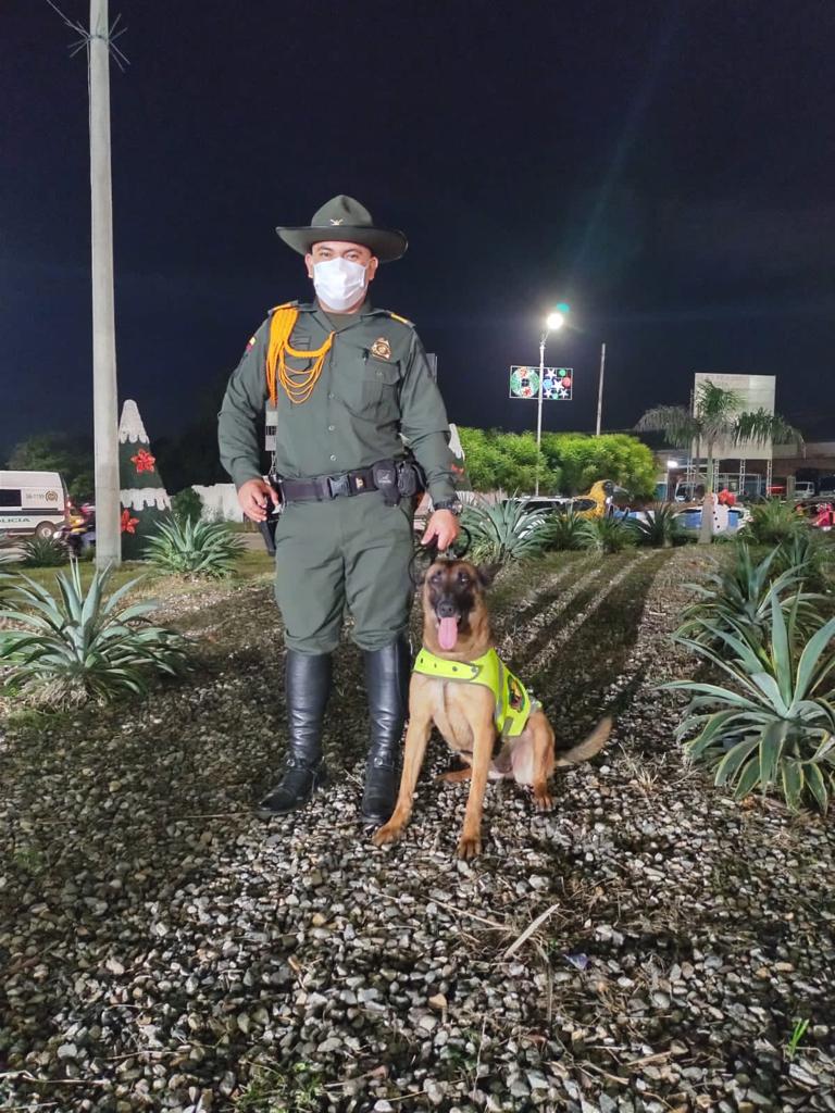 angietelleztv's tweet photo. #paroarmado
Ella es la perrita Jely, quien murió luego de verificar un paquete con explosivos ubicado en el anillo vial de Cúcuta. La guía canina y compañera de Jely, se encuentra en valoración por las lesiones auditivas.
@Citytv 
@teyyiz https://t.co/kDD8NMrwmF