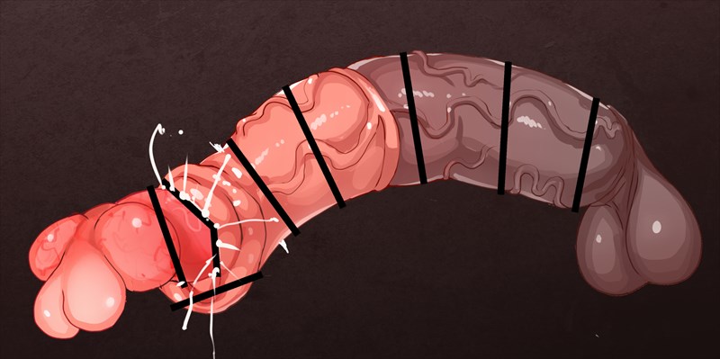 あっ!やせいのウマペニスがとびだしてきた!
ゆけっ!イヌフグリ! 