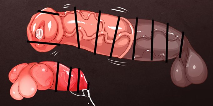 あっ!やせいのウマペニスがとびだしてきた!
ゆけっ!イヌフグリ! 