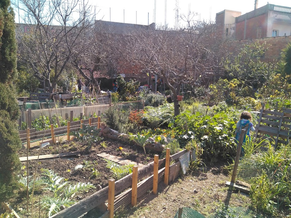 MarcSerraSole's tweet photo. El promotor privat del solar de l’antic Camí de València a #LaSatalia ha fet malbé la finca municipal del costat, destruint bona part del meravellós hort comunitari que hi ha. Farem tot allò que estigui a les nostres mans perquè el dany sigui reparat. Ho explico 👇 https://t.co/6Su5BCkRu8