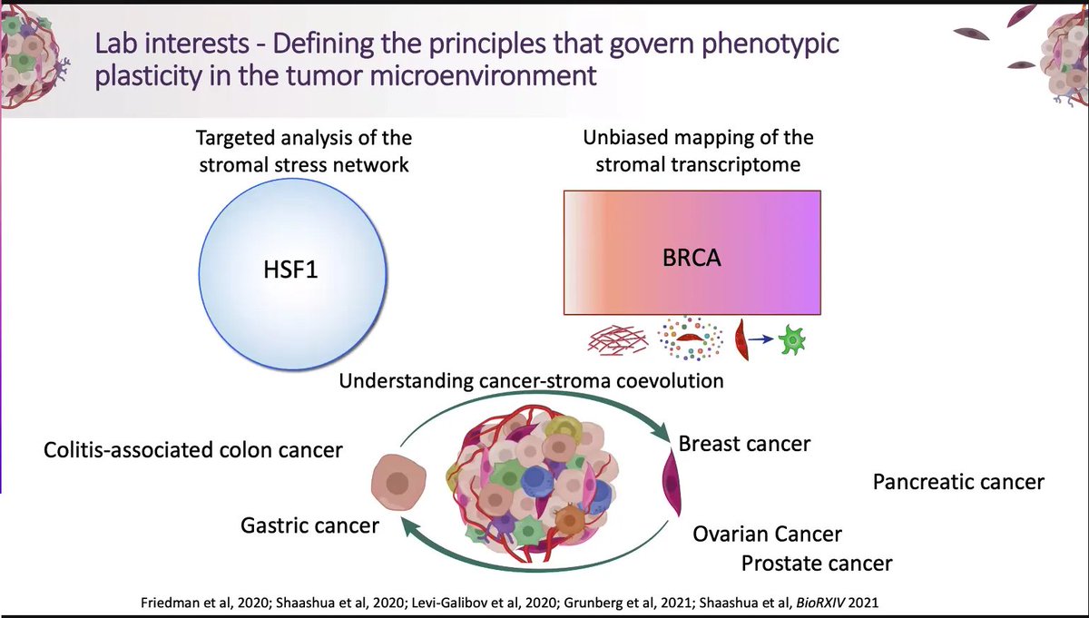 MolOncology's tweet photo. Day 2️⃣ just started #eacrStructuralMicroenvironment with a great talk from Ruth Scherz- @shouval at @WeizmannScience, on the role of HSF1 in inflammation related colorectal cancer development.
💡Looking forward to more work from the @shouval_lab on tumor ecosystems and CAFs💡 https://t.co/OYEQHo7VFd