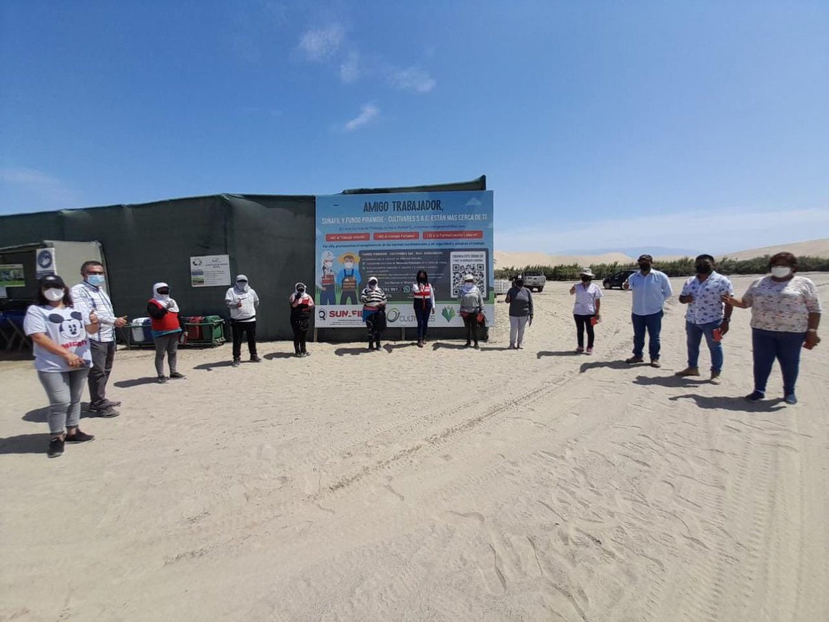 SunafilPeru's tweet photo. ✅ La #IREIca continúa instalando carteles #InfoChamba en la región. En esta ocasión visitó los fundos ALMENDRAL y PIRÁMIDE de la empresa CULTIVARES S.A.C.
✅ Con la finalidad de difundir los canales de atención, de consultas y denuncias laborales. https://t.co/RCNsnaXkpb
