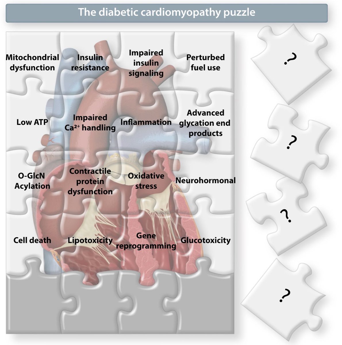 CVR Tomasz Guzik tweet media