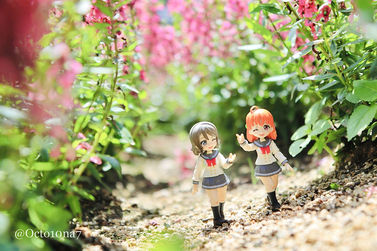 Octo10na7's tweet image. #自然光を味方にできた時の写真が見たい
背景も含めて光の当たり方を見ながら考えてる時が楽しいですね。