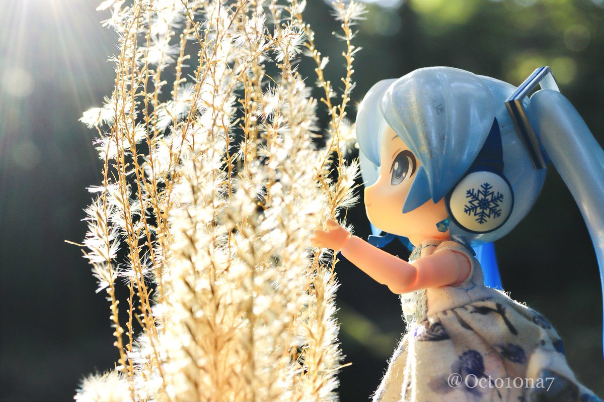 Octo10na7's tweet image. #自然光を味方にできた時の写真が見たい
背景も含めて光の当たり方を見ながら考えてる時が楽しいですね。