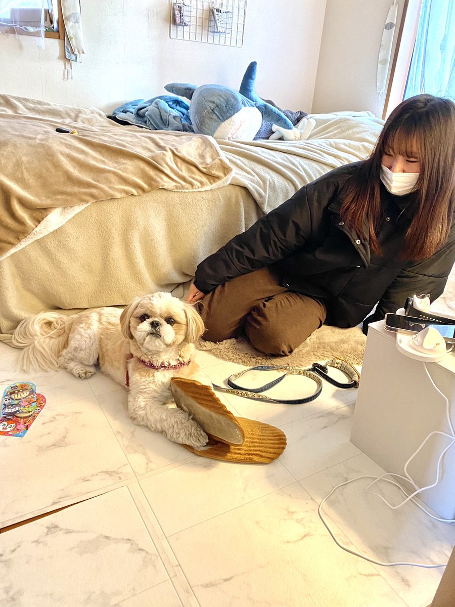 nanacoconuts's tweet photo. 🐶👧🏻👧🏻 https://t.co/JCpBQWXdVN
