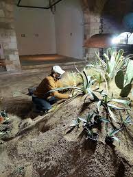 Vida Verda tweet media