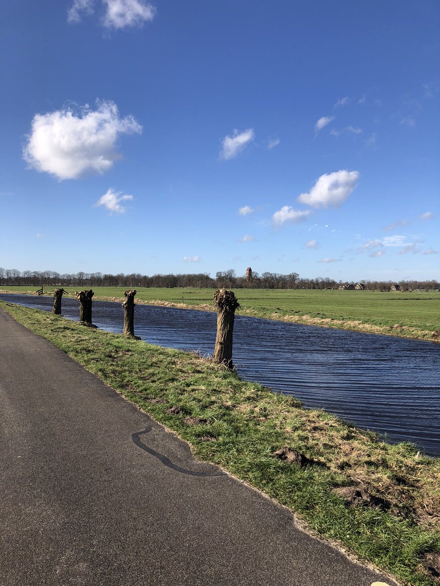 Zjaniene's tweet photo. Zon! 🥳🍀#eindelijkzon #lente https://t.co/0SAlK5B6Nx