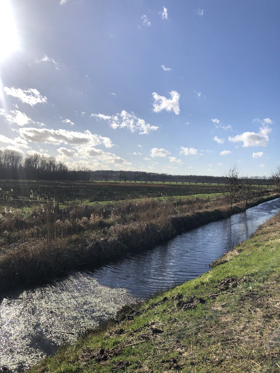 Zjaniene's tweet photo. Zon! 🥳🍀#eindelijkzon #lente https://t.co/0SAlK5B6Nx