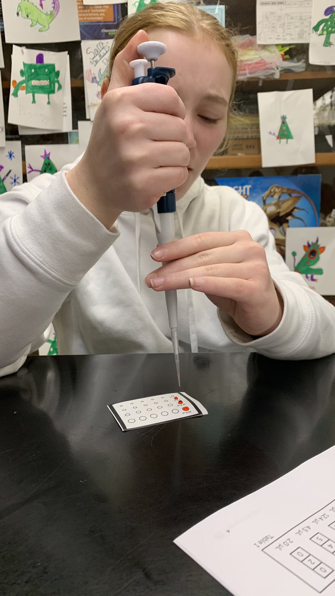 FHSBioVinson's tweet photo. Gel Electrophoresis practice. @AdminsFHS @FCSWildcats @onceawildcat78 @AnnMacKenzie @laurenvscience https://t.co/C695A5BGPq