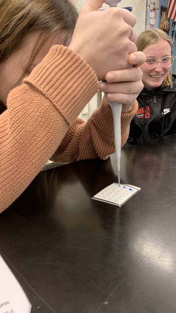 FHSBioVinson's tweet photo. Gel Electrophoresis practice. @AdminsFHS @FCSWildcats @onceawildcat78 @AnnMacKenzie @laurenvscience https://t.co/C695A5BGPq