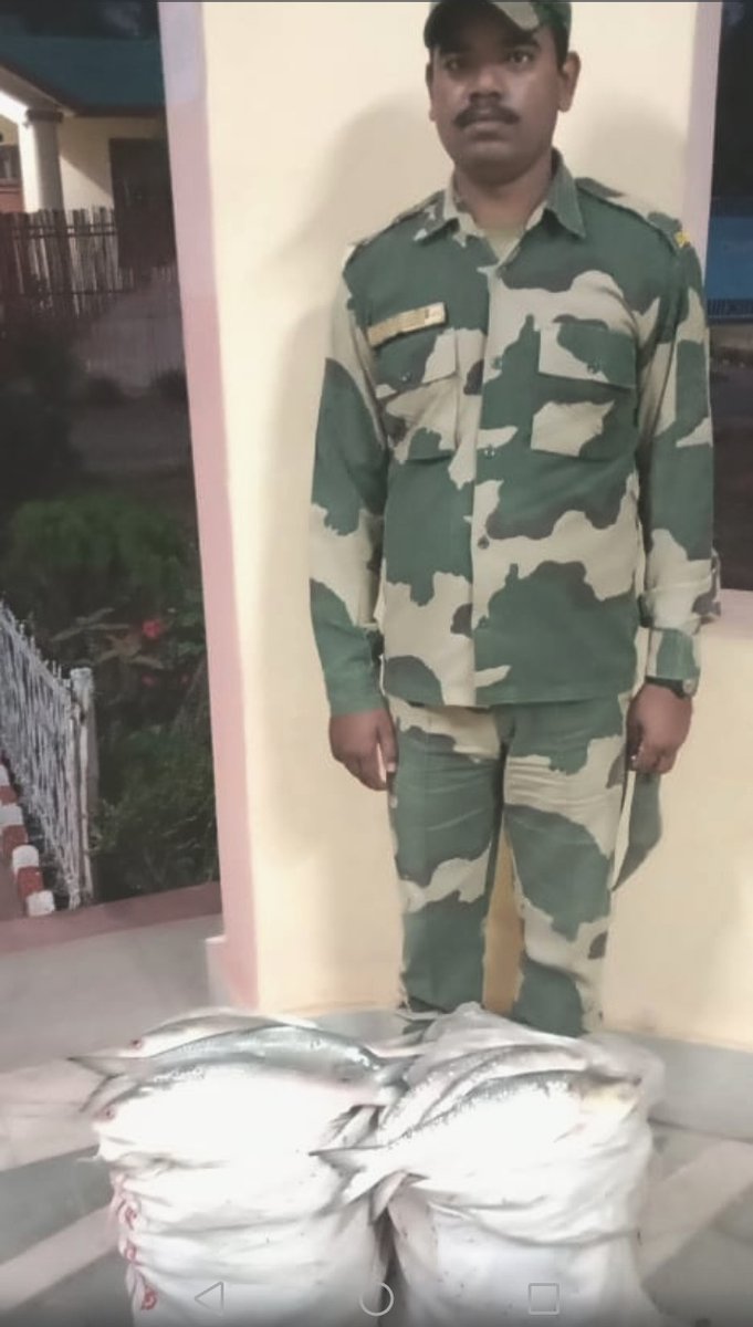 BSF_Tripura's tweet photo. #BSF #Praharis making relentless efforts to curb trans-border #Smuggling in #Tripura.
Last night, #Troops seized 39Kgs #Ganja, 484Btls #Phensedyl & other Contrabands, besides rescued 08 #Cattle having total value ₹47,46,675/- in different #Operations
#FirstLineOfDefense
#JaiHind https://t.co/7WAmRZLVgN
