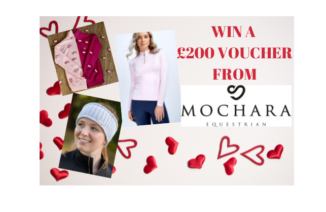 Still time to get your name in the February #PrizeDraw Where you could #win a massive £200 shopping voucher for MOCHARA EQUESTRIAN!! To be in to win follow the link! equestrianindex.com/#competition #Competition #Giveaway #WinnersWednesday