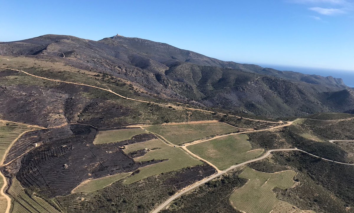 bomberscat's tweet photo. Continuem treballant, amb cinc dotacions a l' #IFRoses, revisant tot el perímetre. Aquesta fotografia aèria del matí evidencia la importància del mosaic al territori, que ens ajuda a controlar i aturar el foc, i també a millorar la nostra seguretat durant les tasques d'extinció. https://t.co/4Aqw3AFNDy