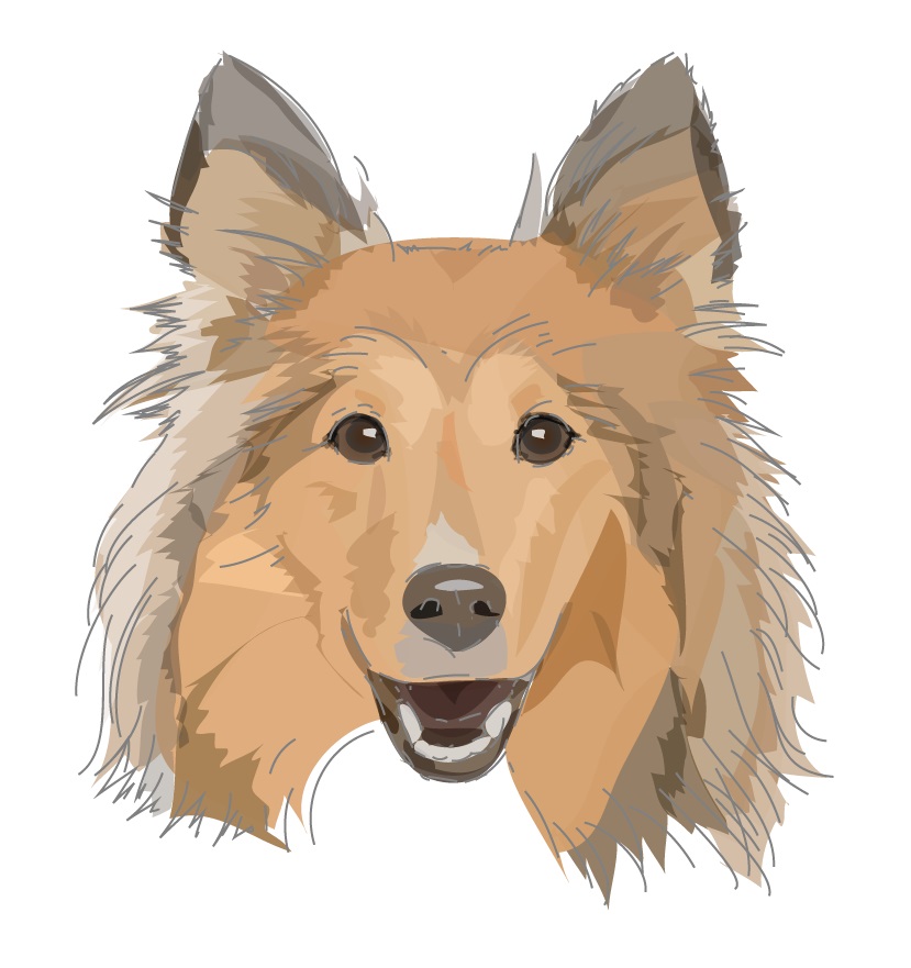 Ykdonuts Ykdonuts Twitter