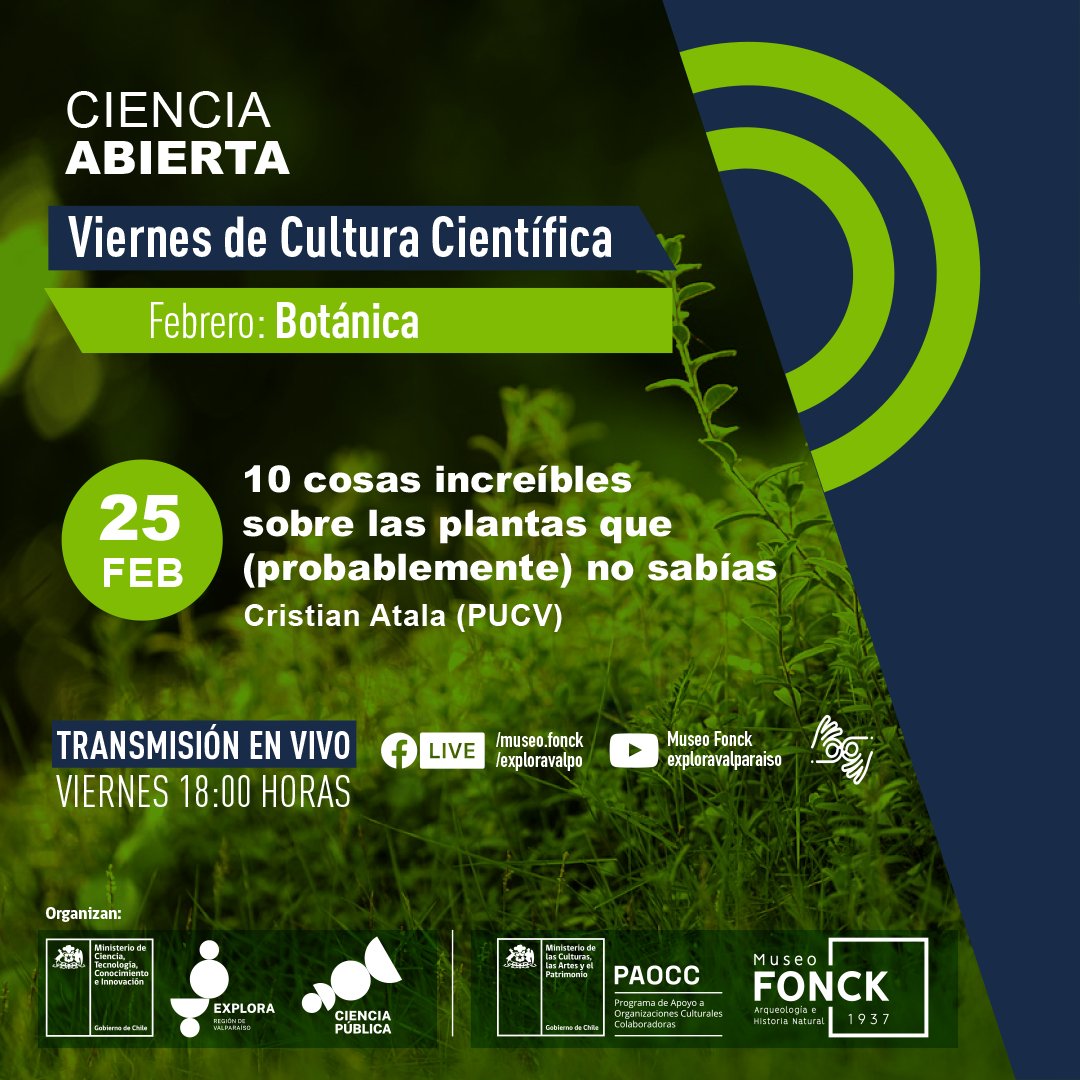 ¿Amor por las plantas? Este viernes 25/2 el profe Dr Cristian Atala de <a href="/pucv_cl/">PUCV</a> nos invita a reconocer saberes y nos propone dialogar con al menos 10 cosas curiosísimas sobre ellas. Transmisión vía redes con <a href="/museofonck/">Museo Fonck</a> bit.ly/3p96eA5