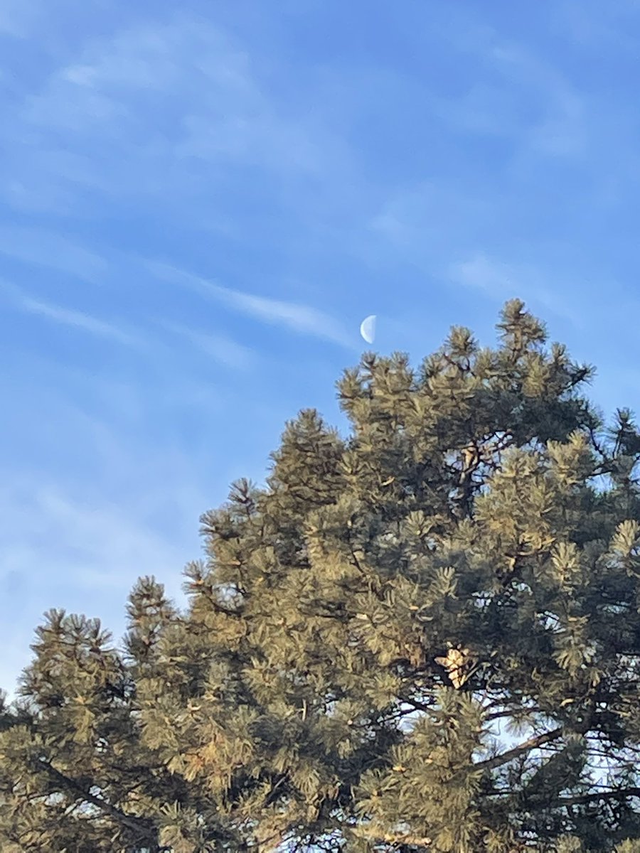 2/23
7:55
SW
20°
Third Quarter 
#eled303