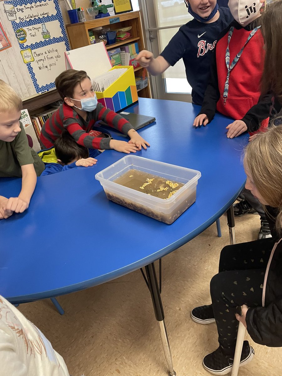 Our class did an experiment on landslides!