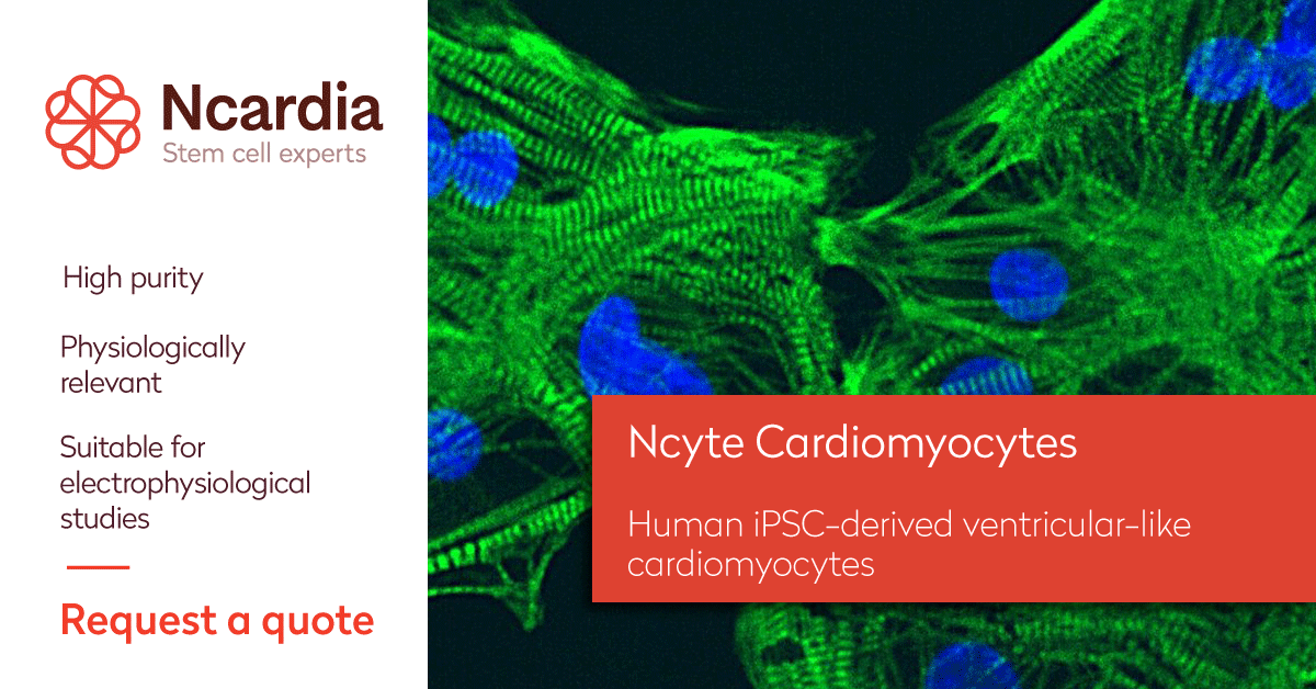 Ncardia tweet media
