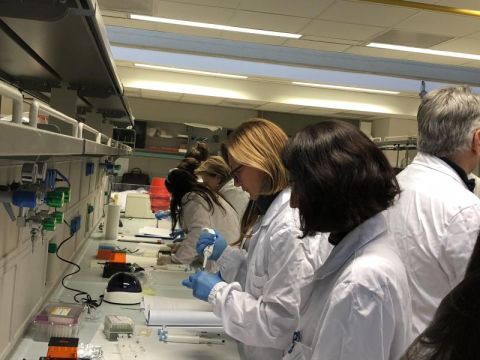 Several #ABE sites have focused their efforts on the quality of ABE implementation and changing how teachers teach in order to positively affect how students learn. Learn more about sites' work to scale for depth: amgenbiotechexperience.com/abe-program-si…