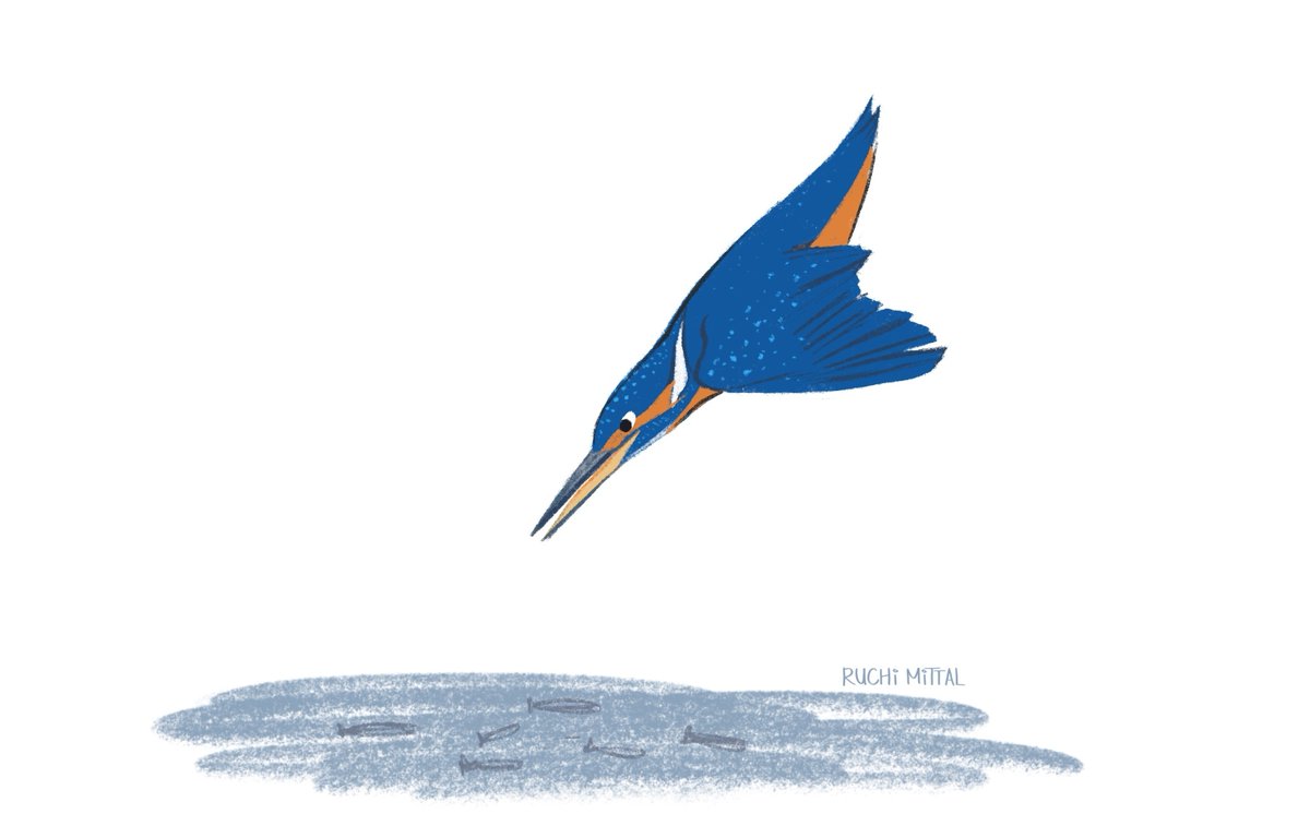 RuchiMittalArt's tweet photo. This determined kingfisher has thwarted me for literally months so I'm really glad I managed to finish it!
#commonkingfisher #animalillustration #childrensbookillustration #kidlitart #ruchimittalart https://t.co/tcqgWbFPSK
