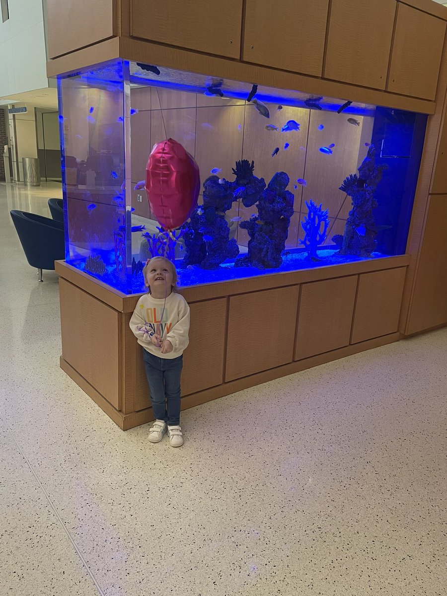 LoreeAParadise's tweet photo. Currently screaming “I am so brave” in the lobby after her 6th MRI at @childrensatl this morning. I agree, Lettie girl! 3 years later and this #32weeker is still so tough. @swparadise https://t.co/4jdY36aZPm