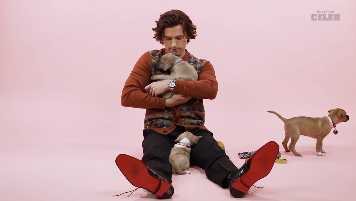 lcvetiffin's tweet photo. so hero buzzfeed puppies interview like this when??? https://t.co/imigmLKovt