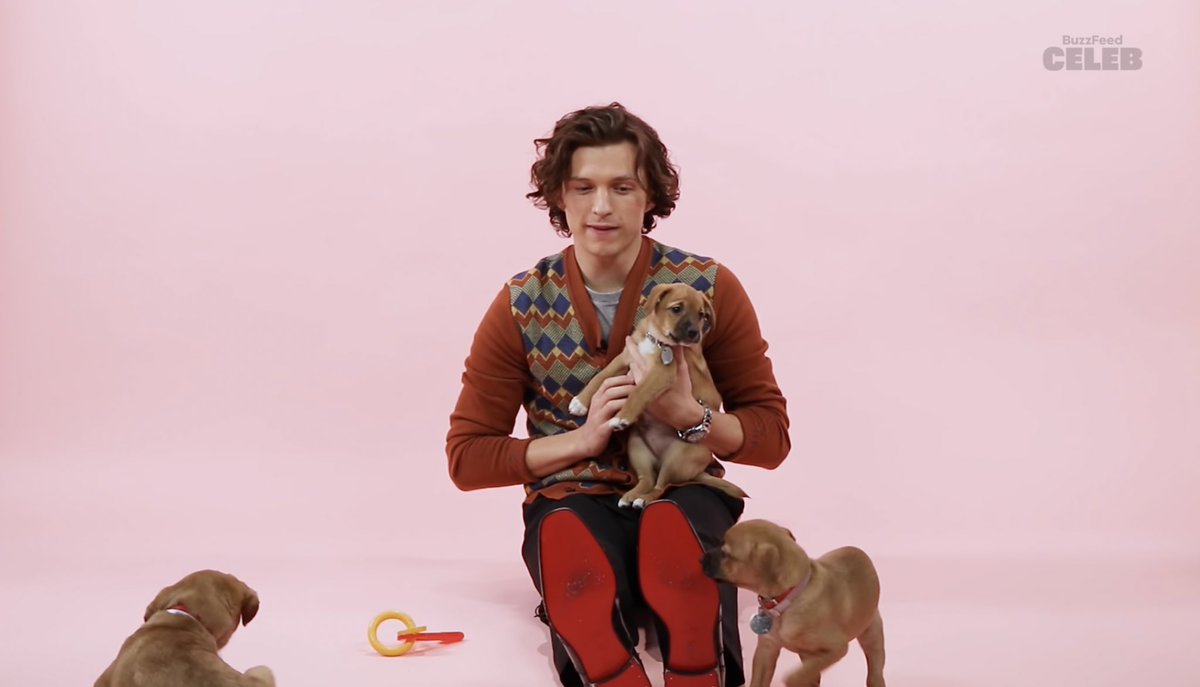 lcvetiffin's tweet photo. so hero buzzfeed puppies interview like this when??? https://t.co/imigmLKovt