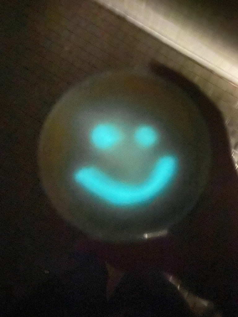 SEUScience's tweet photo. These glowing photos are from Dr. Trish Baynham's microbiology students who were working on bacterial communication called quorum sensing. 

#seuscience #microbiology #quorumsensing

🦑 Read about the bobtail squid in this article: https://t.co/cYssSOIJtM https://t.co/DaFEvIEjeW