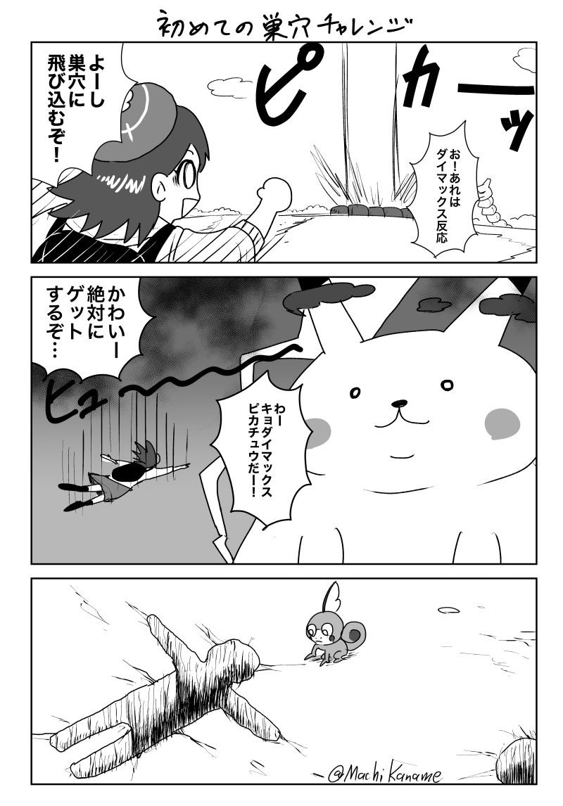 久々にポケモン剣盾やってたら生まれたとても今更ながらな疑問。 