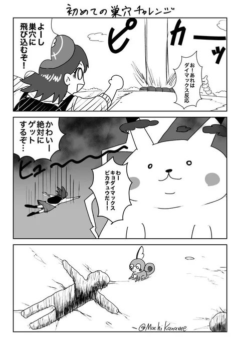 久々にポケモン剣盾やってたら生まれたとても今更ながらな疑問。 