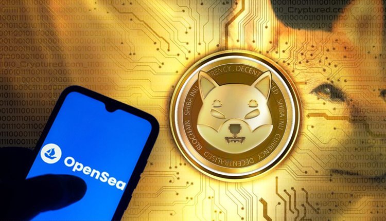 cryptured's tweet photo. The Shiba Inu platform has called for calm and reassured Shiboshi holders that it is investigating the OpenSea phishing attack
Read more . . . . . https://t.co/susfwzGPGC
#metaverse #nft #opensea #shibainu #Cryptur https://t.co/UU5H9IfGmB