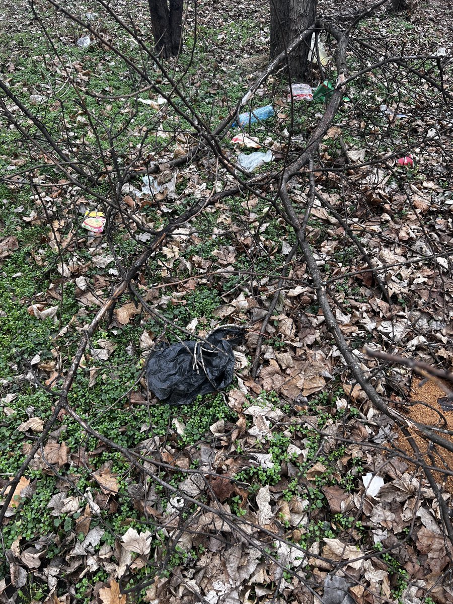 ItRemains_World's tweet photo. Screw WL grinding, we do it different!

Clean a polluted spot in the nature, show us before and after photo with the special @ItRemainsNFT hand gesture below and you will get a WL. 

That's it that's all. 

It Remains... fiction or prediction? 🟡

#NFTCommunity #NFT https://t.co/wJQDTQbQ6e