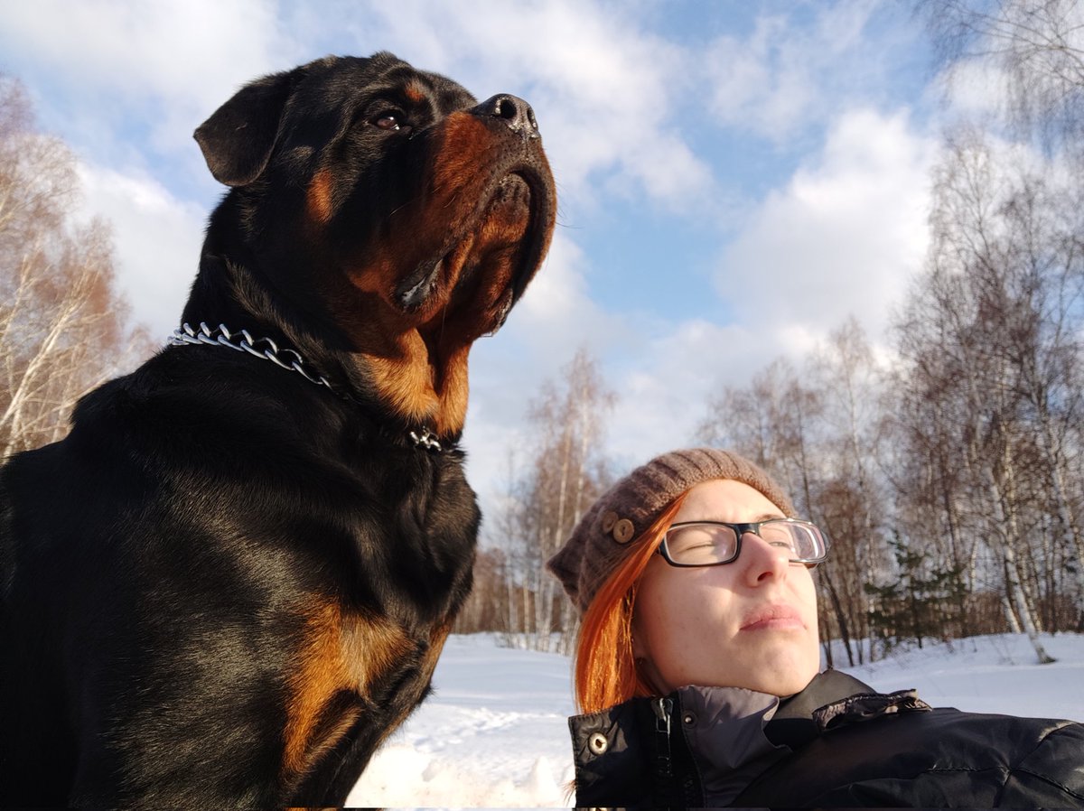 rat_divinity's tweet photo. Это мы с моим псом пару дней назад сидели на сугробе и ждали, когда его друга выпустят погулять
Так и не выпустили( https://t.co/7uW25lbtD9