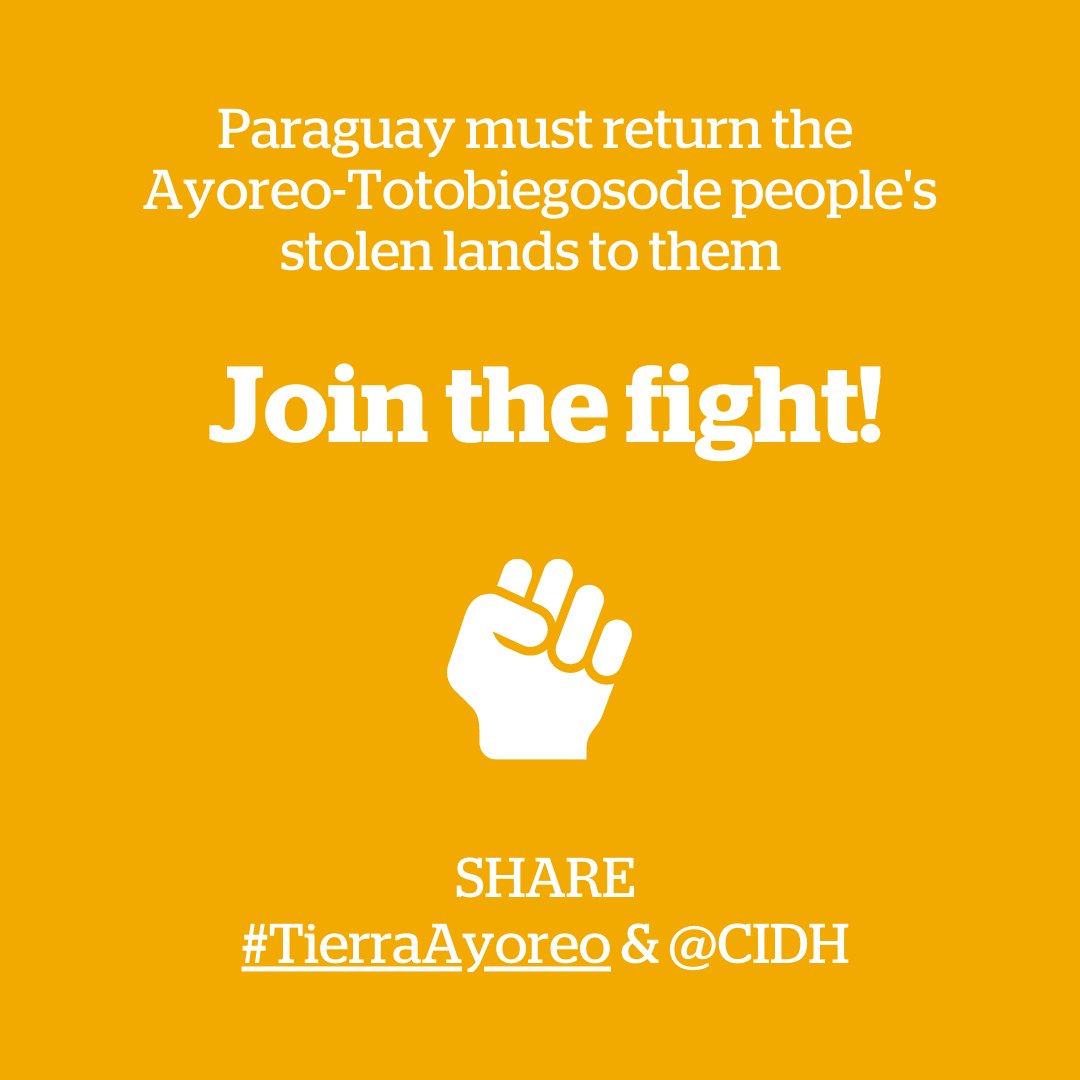 doepnermartin's tweet photo. Outsiders have stolen the Ayoreo’s land in #Paraguay:
👉Their forest is disappearing ever faster.
👉 Uncontacted Ayoreo will be decimated if they're contacted.
👉 Their survival is at risk.
✊ @CIDH protect the #TierraAyoreo 
@Survival https://t.co/qfpBlewEbF