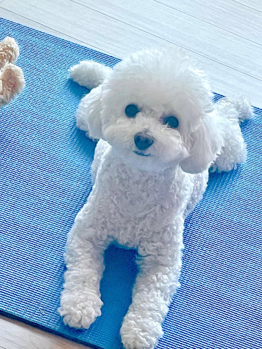 [ #성훈’s Post ] 220223 #SUNGHOON: Park Gaeul 🐾 @ENHYPEN_members @ENHYPEN #ENHYPEN #엔하이픈