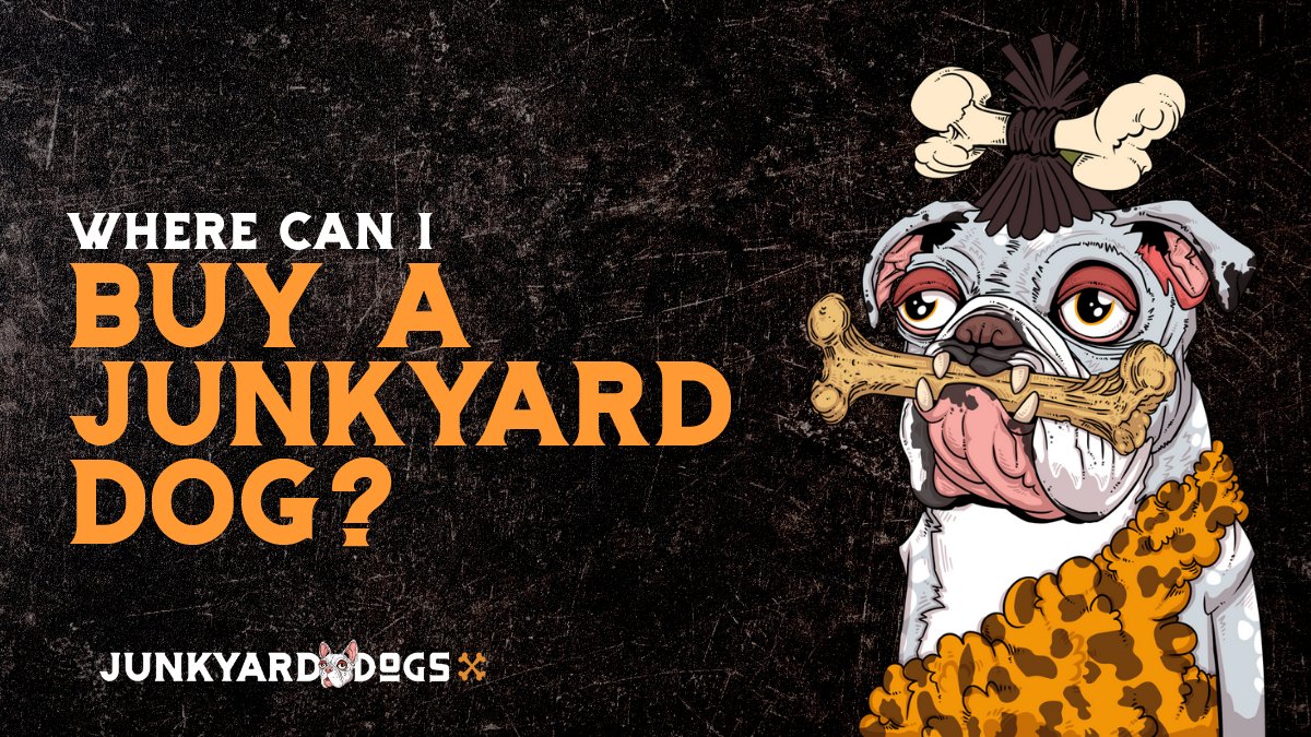 JunkyardDogsNFT's tweet photo. Did you know that Junkyard Dogs minted and sold out (in 8 minutes) on August 11th? 🤘 The only place to buy a Junkyard Dogs is from the official collection on Opensea here at https://t.co/L6k2N8sCPR

#JunkyardDogs #NFTArt #NFTCommunity #NFTDogs #DogLovers https://t.co/dHmIEFv63L
