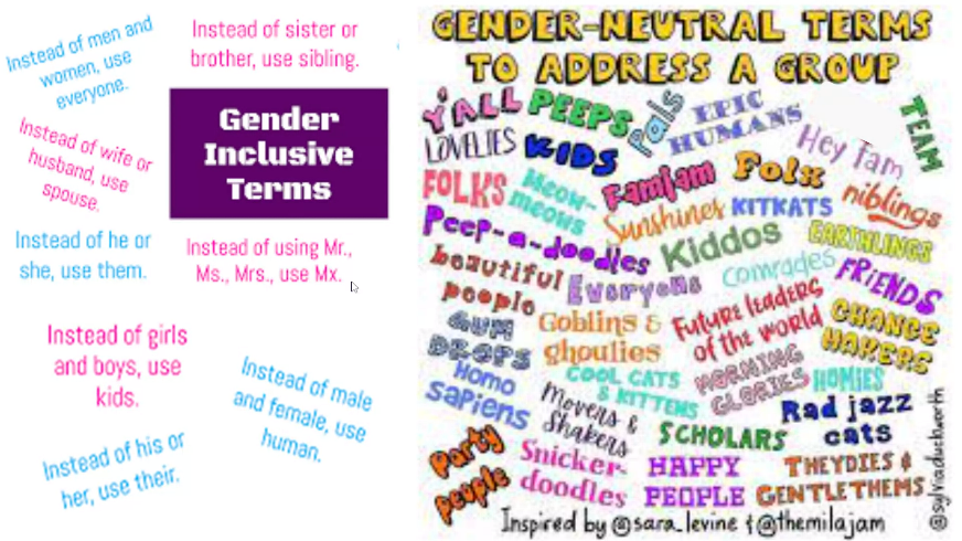 Gender Inclusive Terms from Sara Levine & @themilajam / @sylviaduckworth. #NP4Equity
