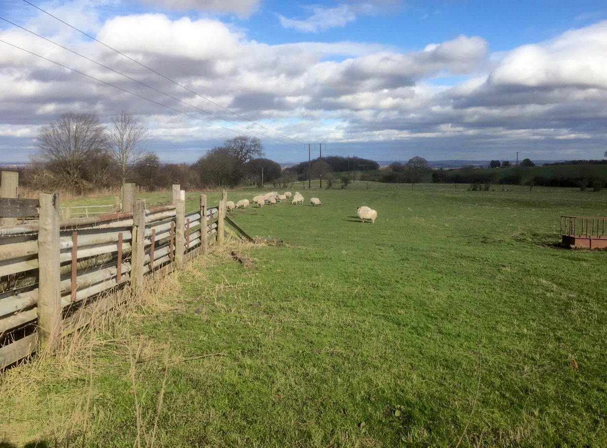 trevorgi's tweet photo. Walk #54
Dinner time stretch, these pastoral views of #Yorkshire make it look warmer than it was. Wind still gusting.
#walking #nithered https://t.co/OjEgtmJUqr