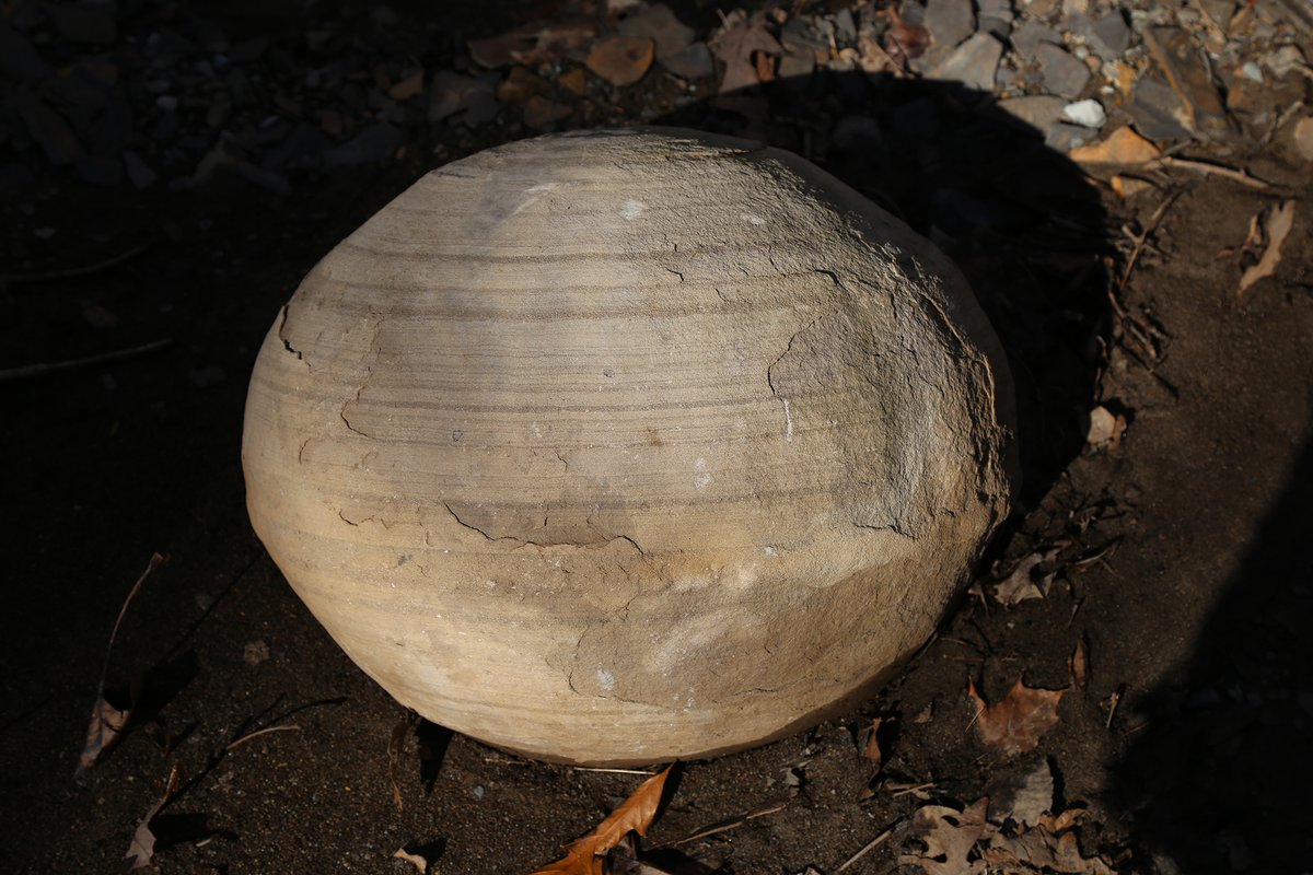 TourGuideToFun's tweet photo. Ohio’s Mystery Rocks

https://t.co/rnJSlG0U5C

#concretion https://t.co/dEOVCfWYeo